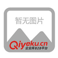 山東新宇牧業(yè)供肉牛犢、改良牛、魯西黃牛(圖)